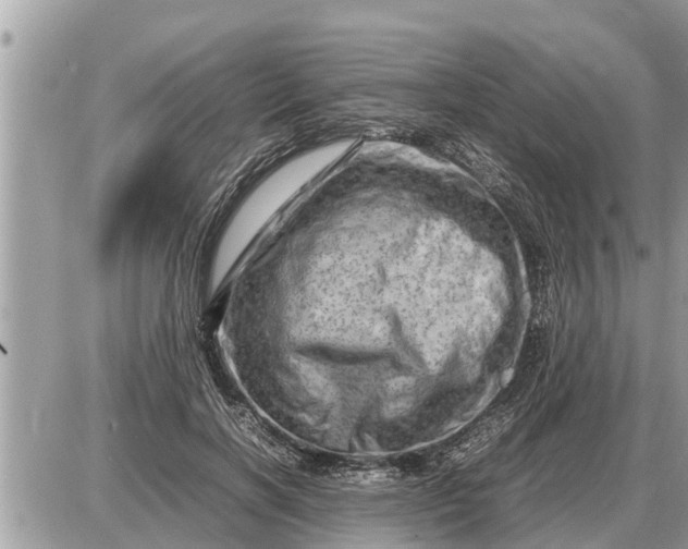 X0000087400646200705042036