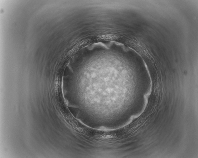 X0000087400647200705042036