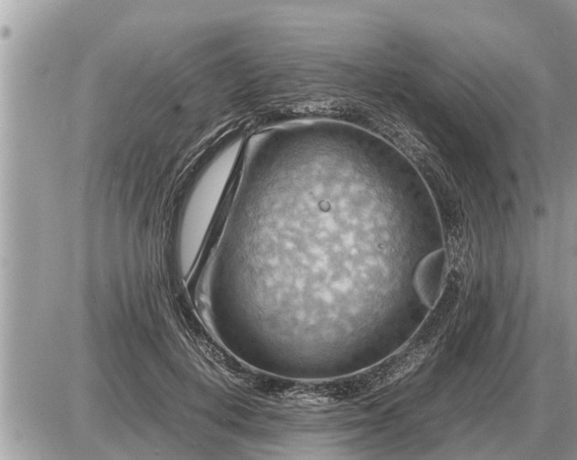 X0000087400648200705042036