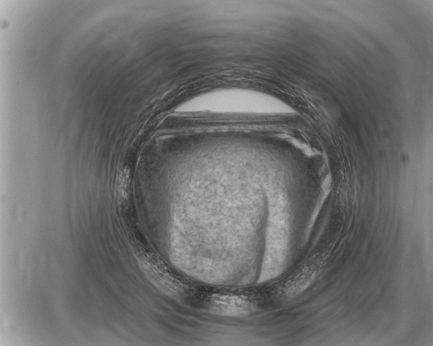 X0000087400649200705042036