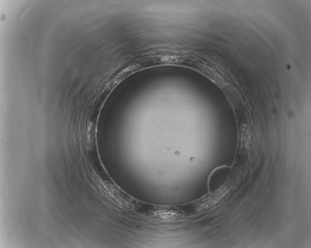 X0000087400650200705042036