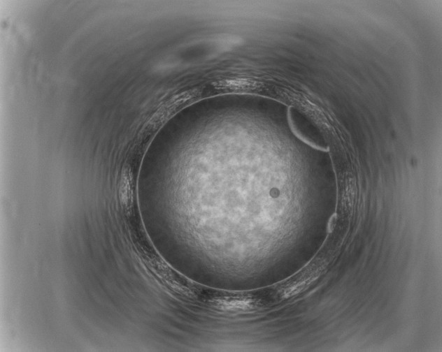 X0000087400651200705042036