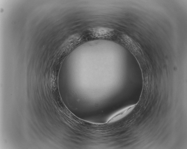 X0000087400653200705042036