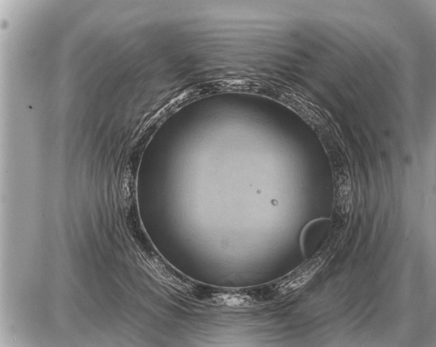 X0000087400654200705042036