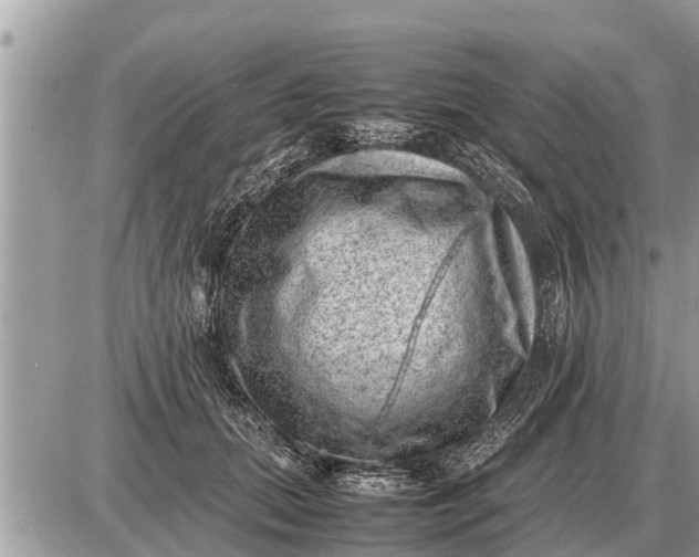 X0000087400655200705042037