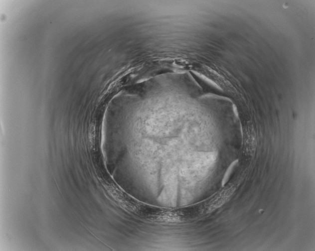 X0000087400656200705042037