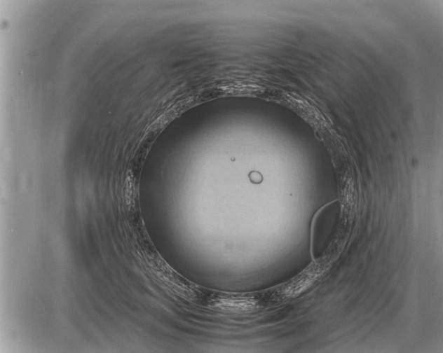 X0000087400659200705042037