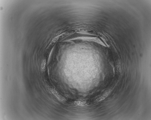 X0000087400660200705042037