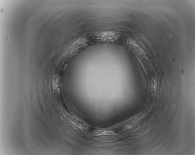 X0000087400663200705042037