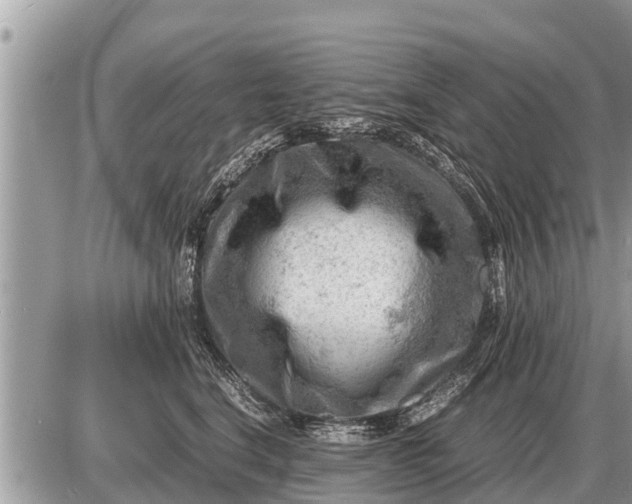 X0000087400664200705042037