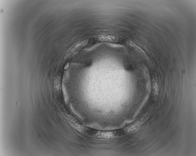 X0000087400665200705042037