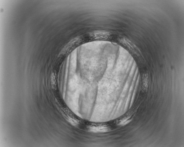 X0000087400667200705042037