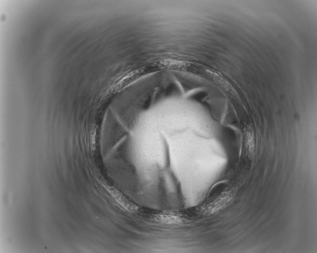 X0000087400668200705042037