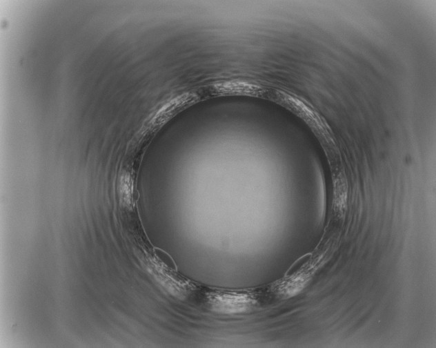 X0000087400669200705042037