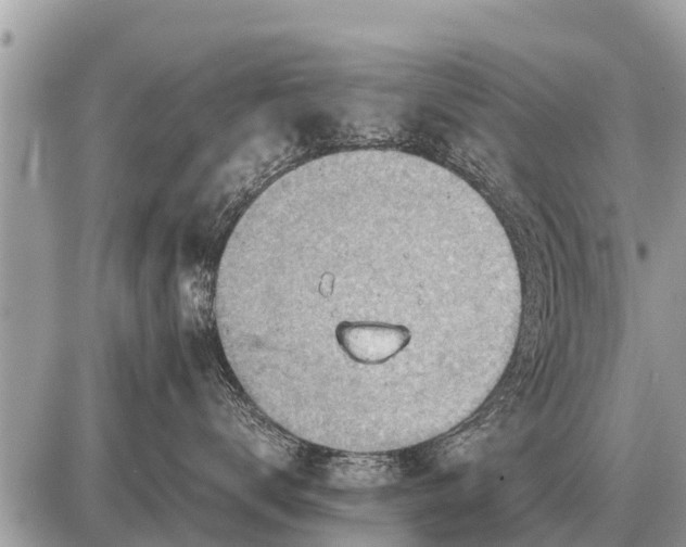 X0000087400672200705042037