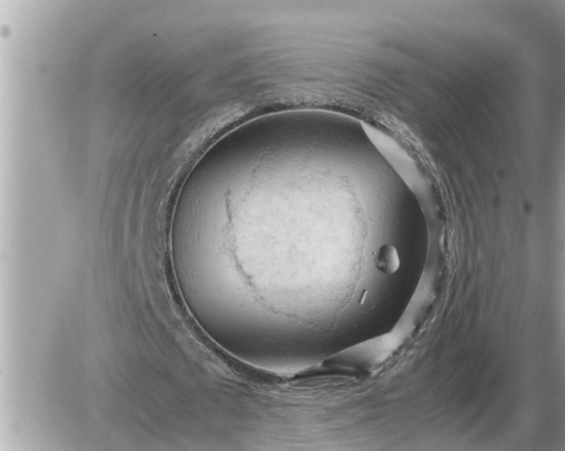 X0000087400673200705042036