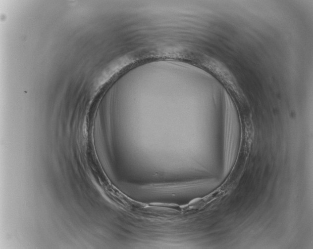 X0000087400674200705042036