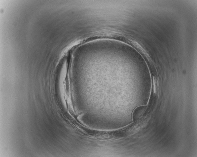 X0000087400675200705042036