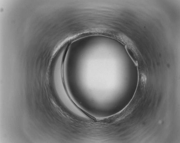 X0000087400676200705042036