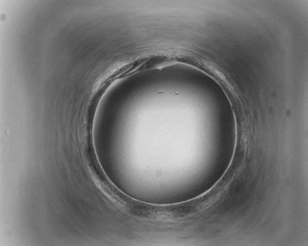 X0000087400677200705042036