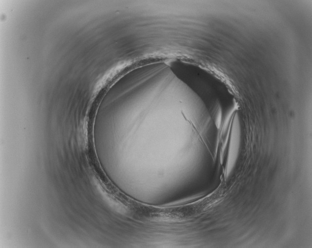 X0000087400678200705042036