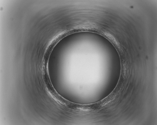 X0000087400680200705042036