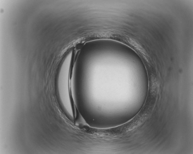 X0000087400681200705042036