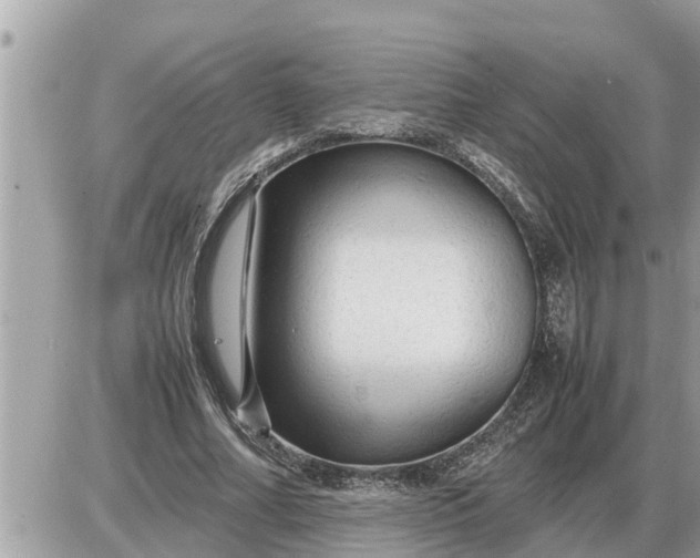 X0000087400682200705042036