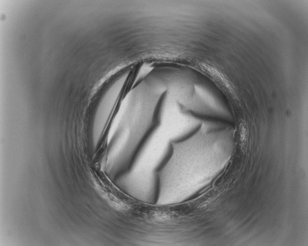 X0000087400684200705042036