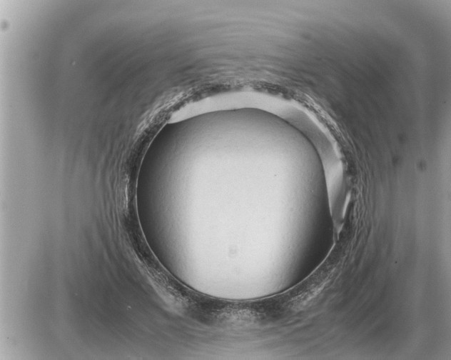 X0000087400685200705042036