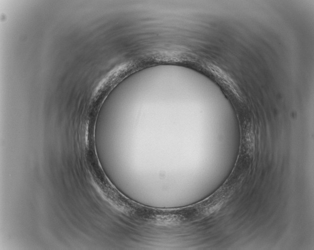 X0000087400686200705042036