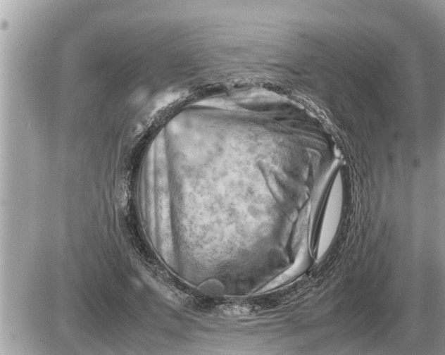 X0000087400687200705042036