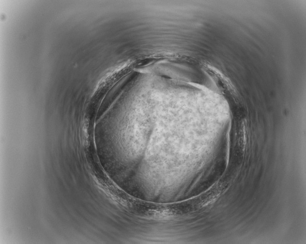 X0000087400688200705042036