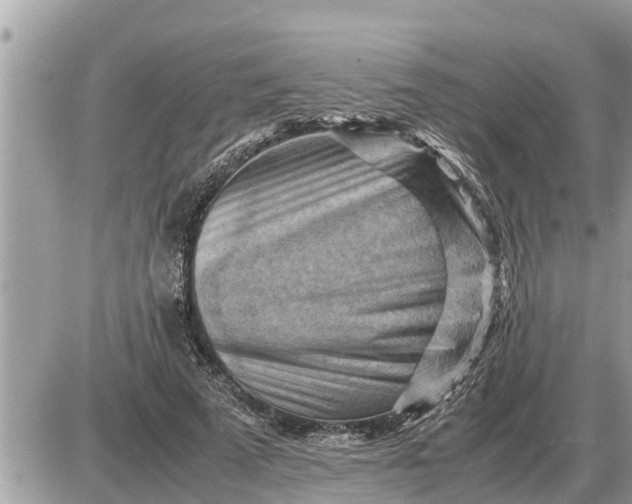 X0000087400689200705042036