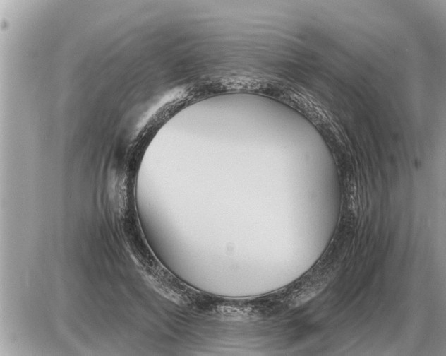 X0000087400690200705042036