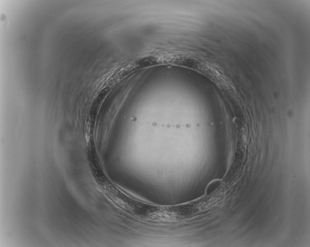 X0000087400691200705042036