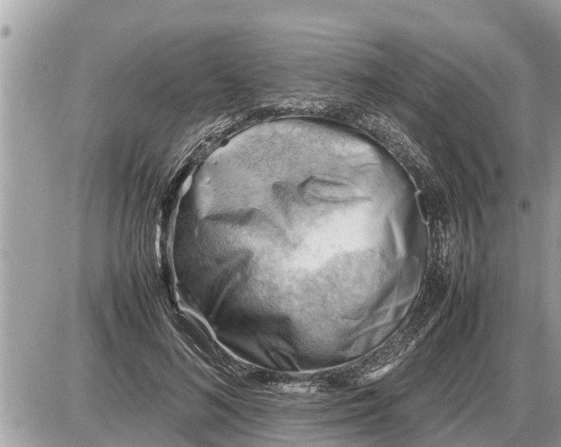 X0000087400692200705042036