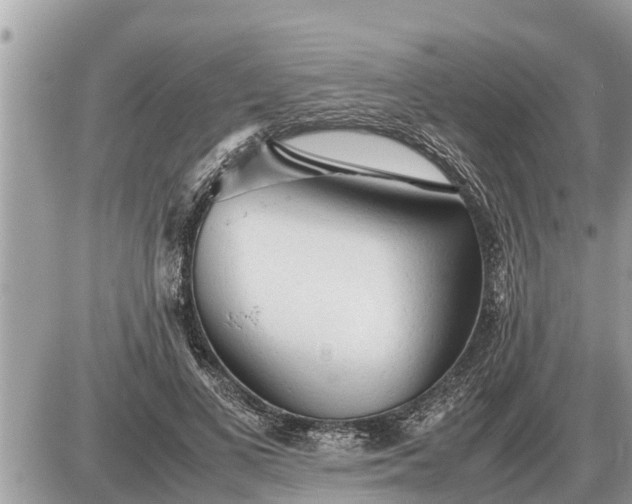 X0000087400693200705042036