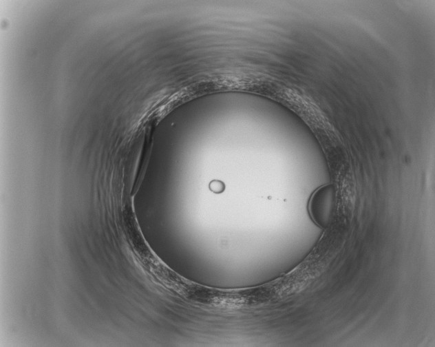 X0000087400694200705042036