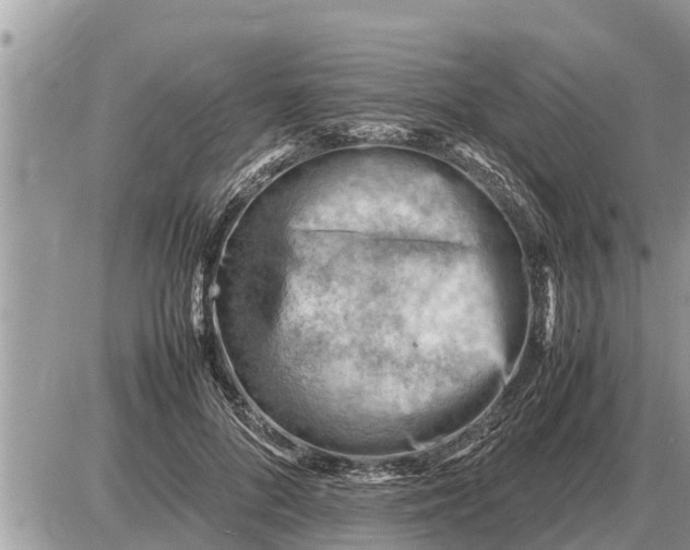 X0000087400696200705042036