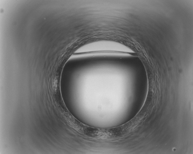 X0000087400697200705042036