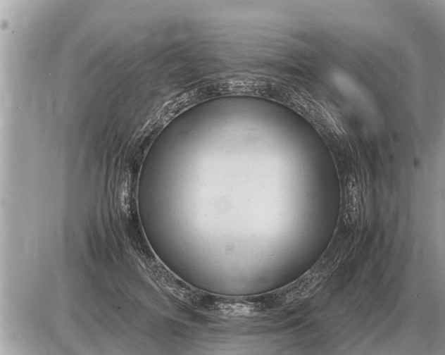 X0000087400698200705042036