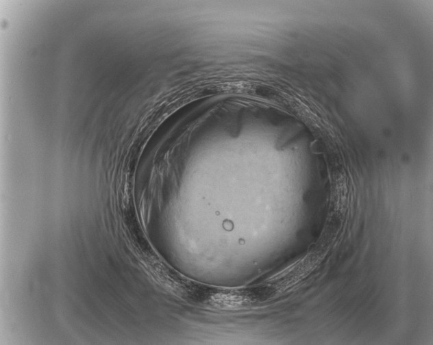 X0000087400699200705042036