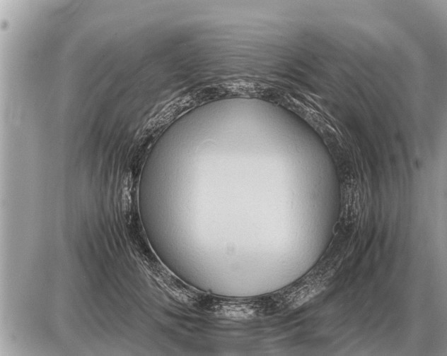 X0000087400702200705042036