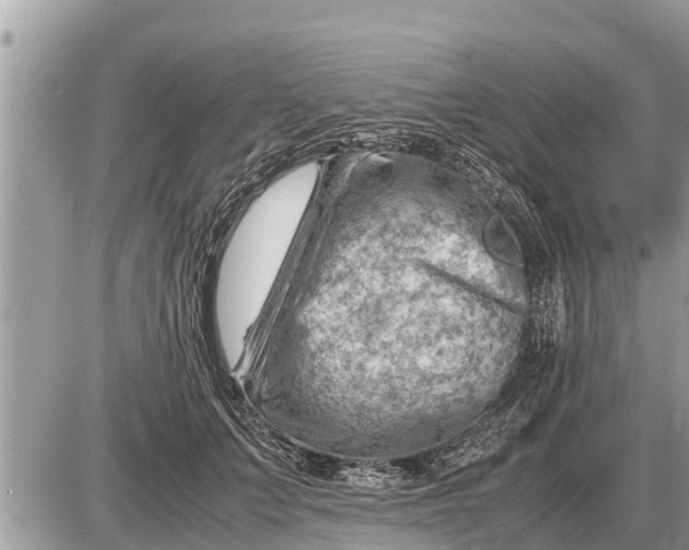 X0000087400703200705042036