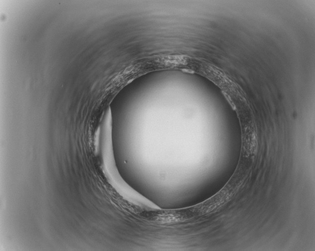 X0000087400704200705042036