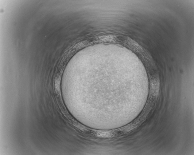 X0000087400705200705042035