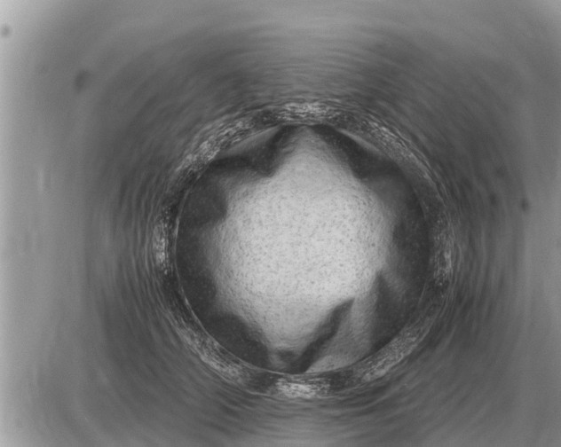 X0000087400706200705042035