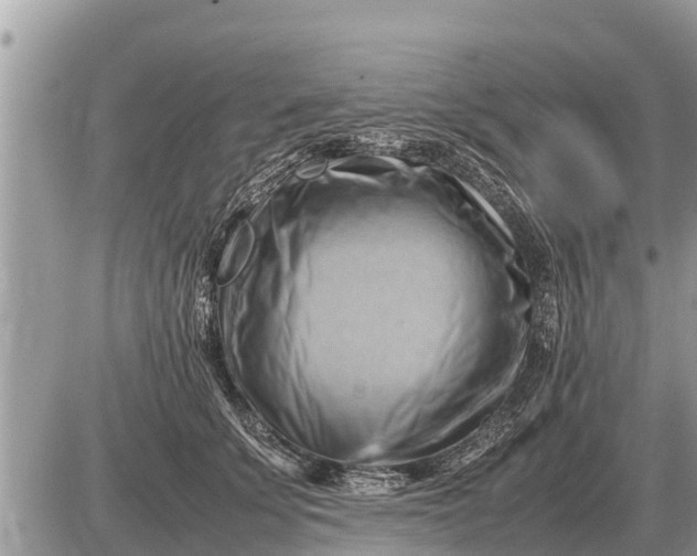 X0000087400707200705042035