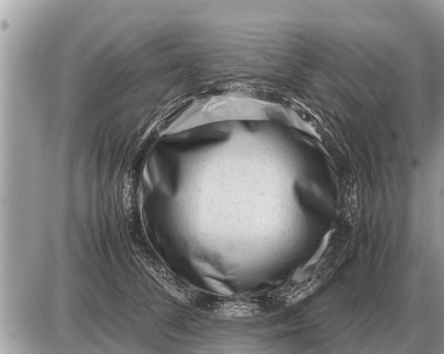 X0000087400708200705042035